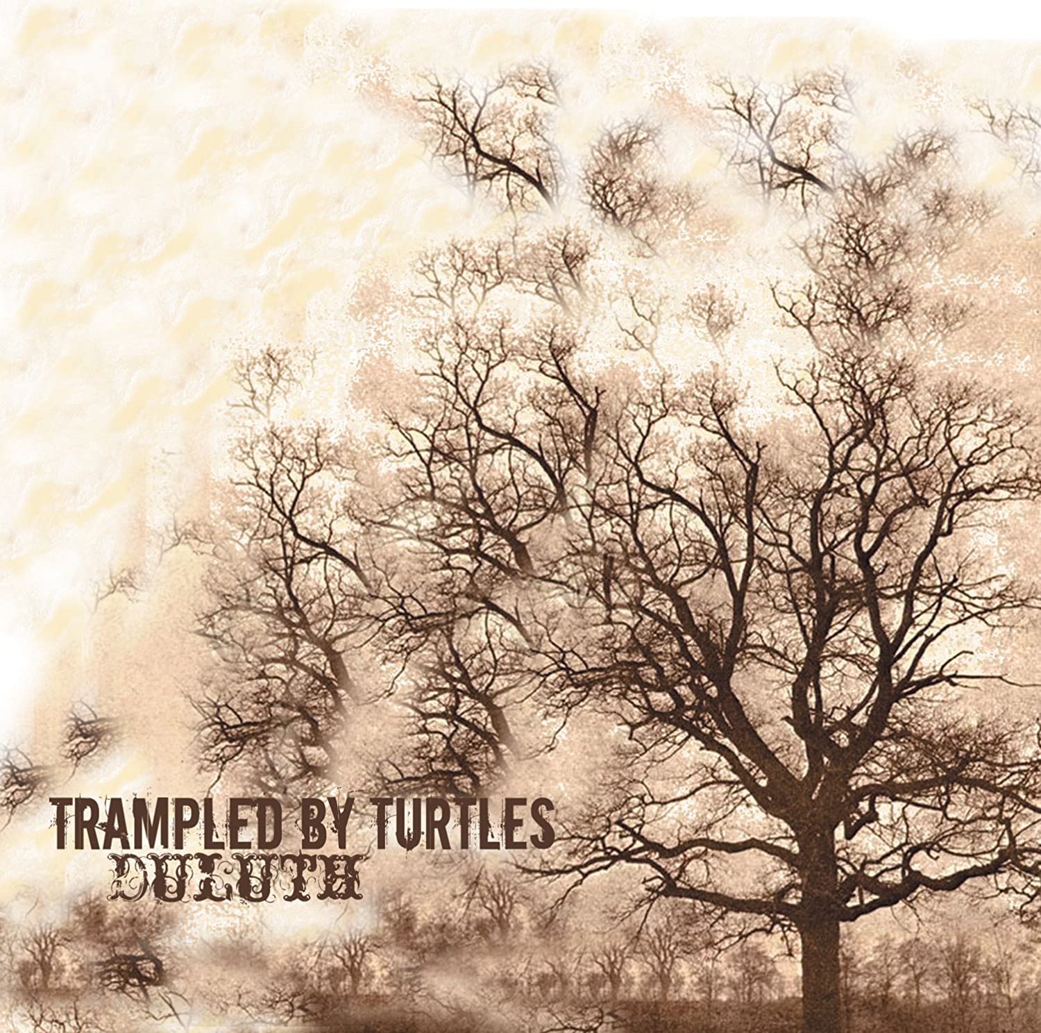 Trampled by Turtles - Duluth (Vinyl LP)