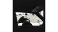 Van Etten, Sharon - Are We There (Vinyl LP)