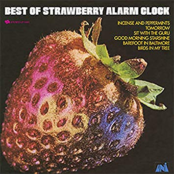 Strawberry Alarm Clock - Best Of (Vinyl LP)