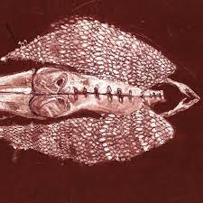 Cerberus Shoal - Homb (Rouge) (Anniversary) (Vinyl LP)