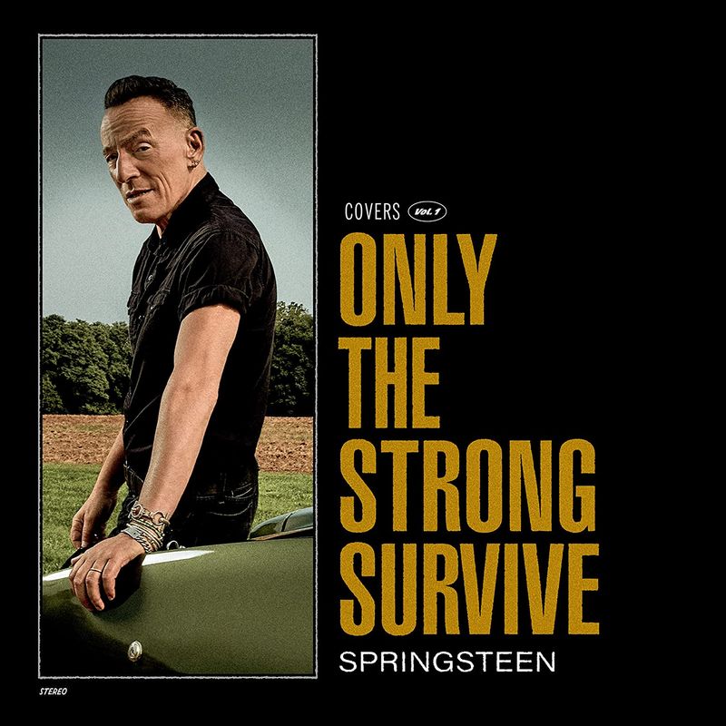 Springsteen, Bruce - Only The Strong Survive (Vinyl LP)