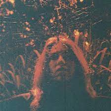 Turnover - Peripheral Vision (Vinyl LP)