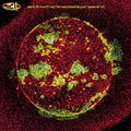 311 - From Chaos (Vinyl LP)