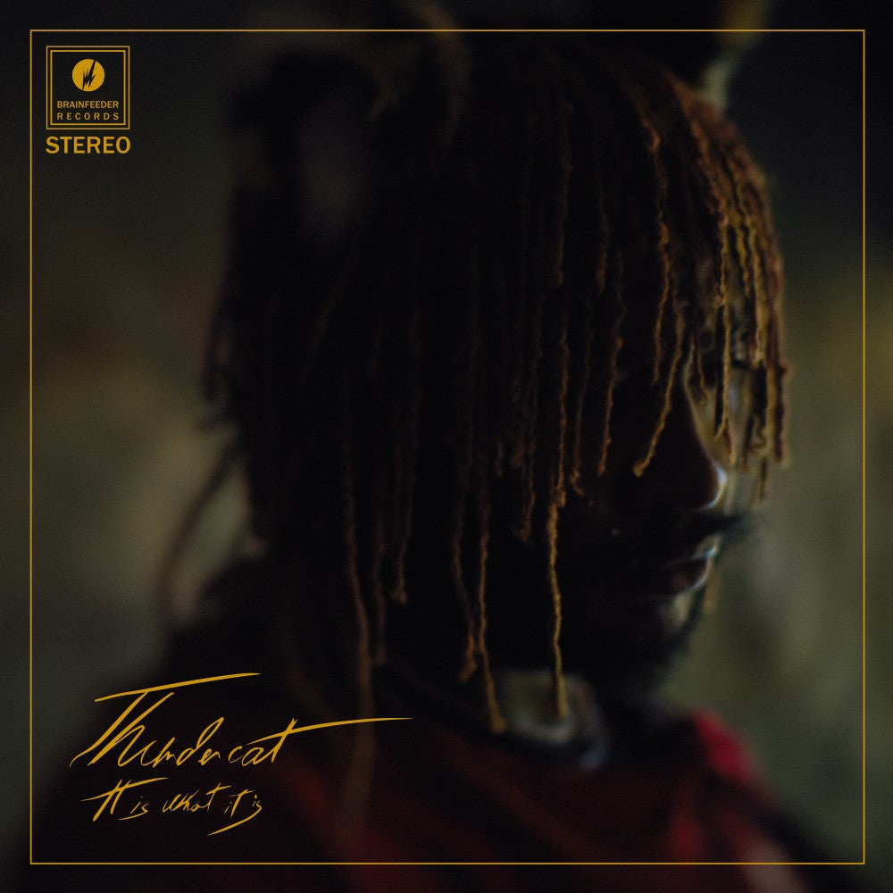 Thundercat - It Is What It Is (Vinyl LP)