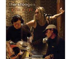 Stooges - A Fire Of Life (Orange Vinyl) (Vinyl LP)