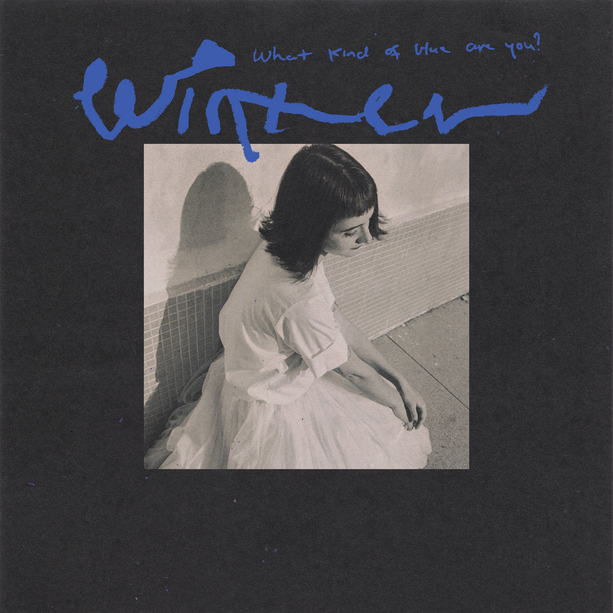 Winter - What Kind of Blue Are You? (Vinyl LP)