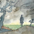 Blake, James - The Colour in Anything (Vinyl LP)