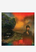 Van Etten, Sharon - We've Been Going About This All Wrong (Marble Smoke Vinyl) (Vinyl LP)