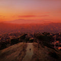 Finneas - Blood Harmony (Vinyl LP)