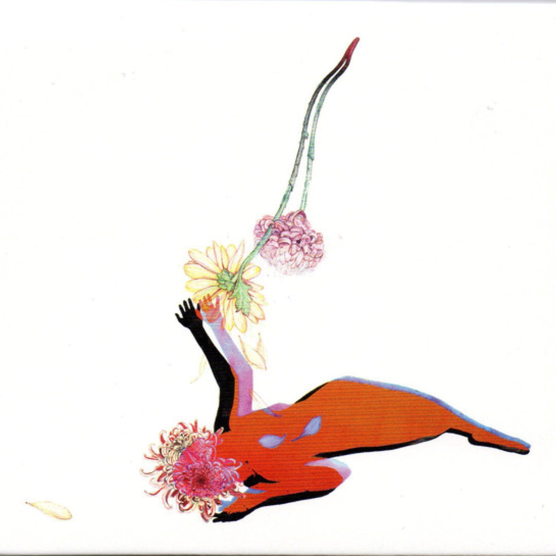 Future Islands - The Far Field (Vinyl LP)