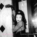 Blood Orange - Coastal Grooves (Vinyl LP)