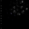 Crumb - Ice Melt (Vinyl LP)