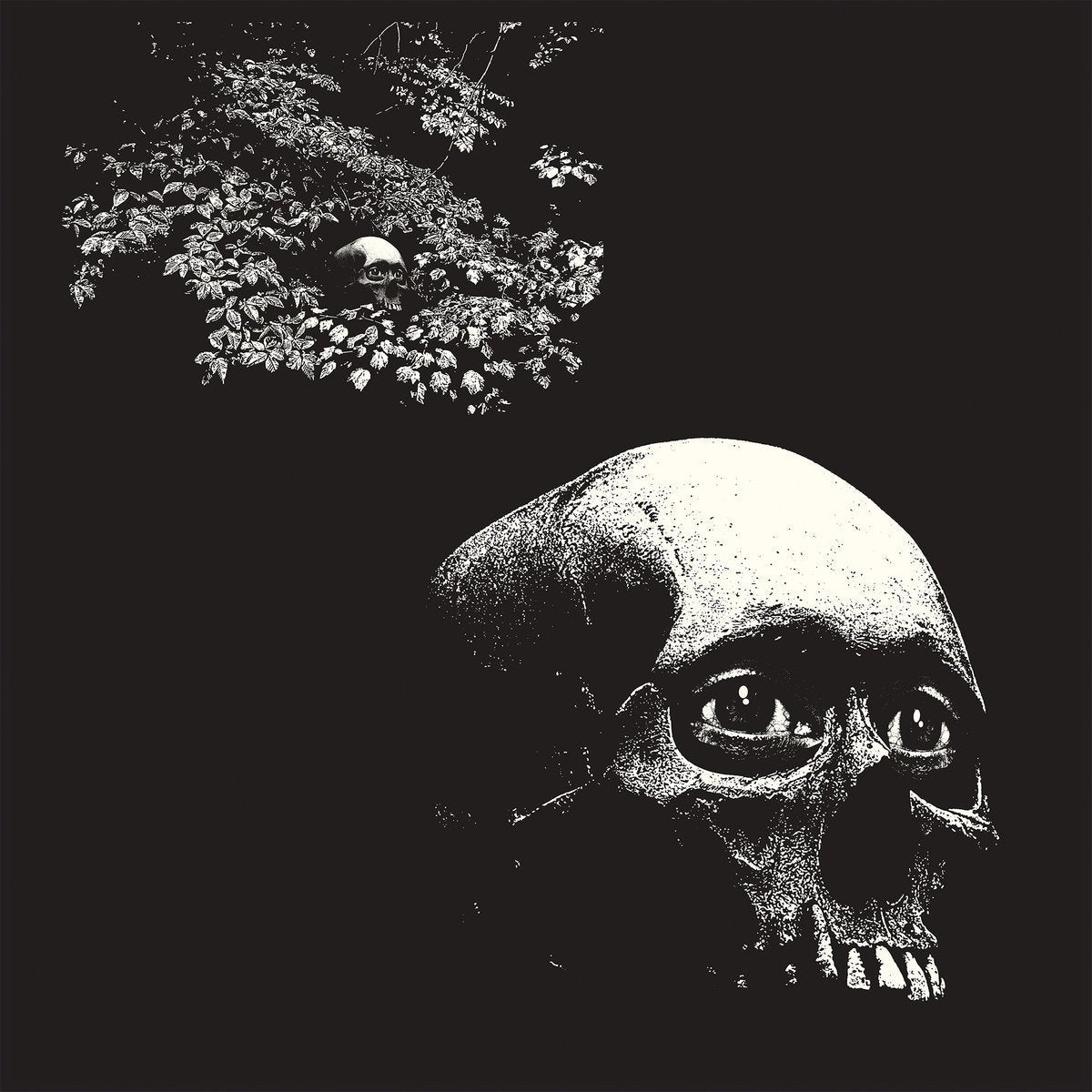 Osees - Foul Form (Vinyl LP)