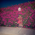 Feist - Pleasure (Vinyl LP)