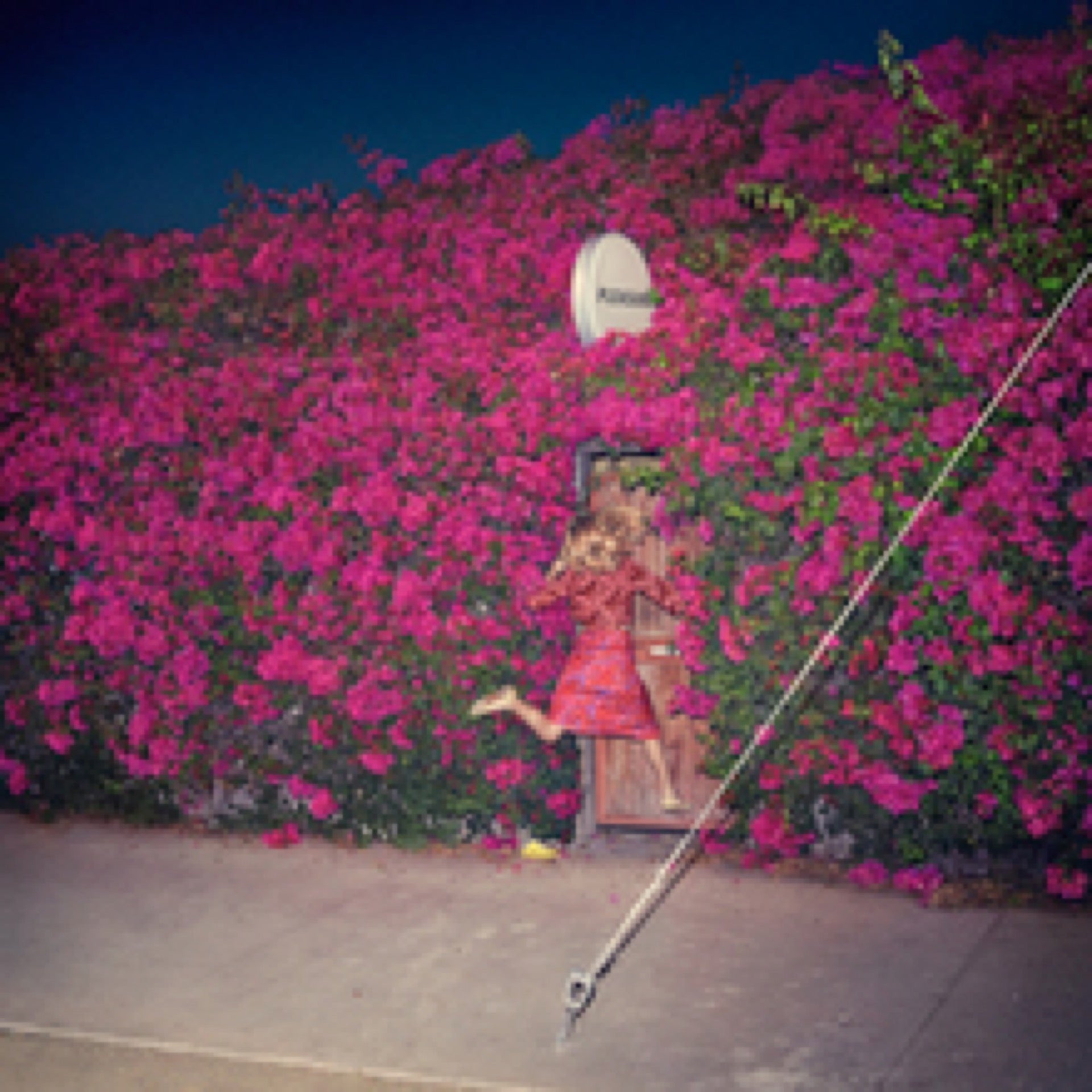 Feist - Pleasure (Vinyl LP)
