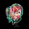 All Them Witches - Nothing As The Ideal (Vinyl LP)