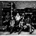 Allman Brothers Band - At Fillmore East (Vinyl LP)