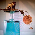 Beirut - Gallipoli (Vinyl LP)