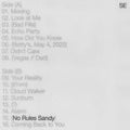 Sylvan Esso - No Rules Sandy (Vinyl LP)