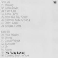 Sylvan Esso - No Rules Sandy (Vinyl LP)