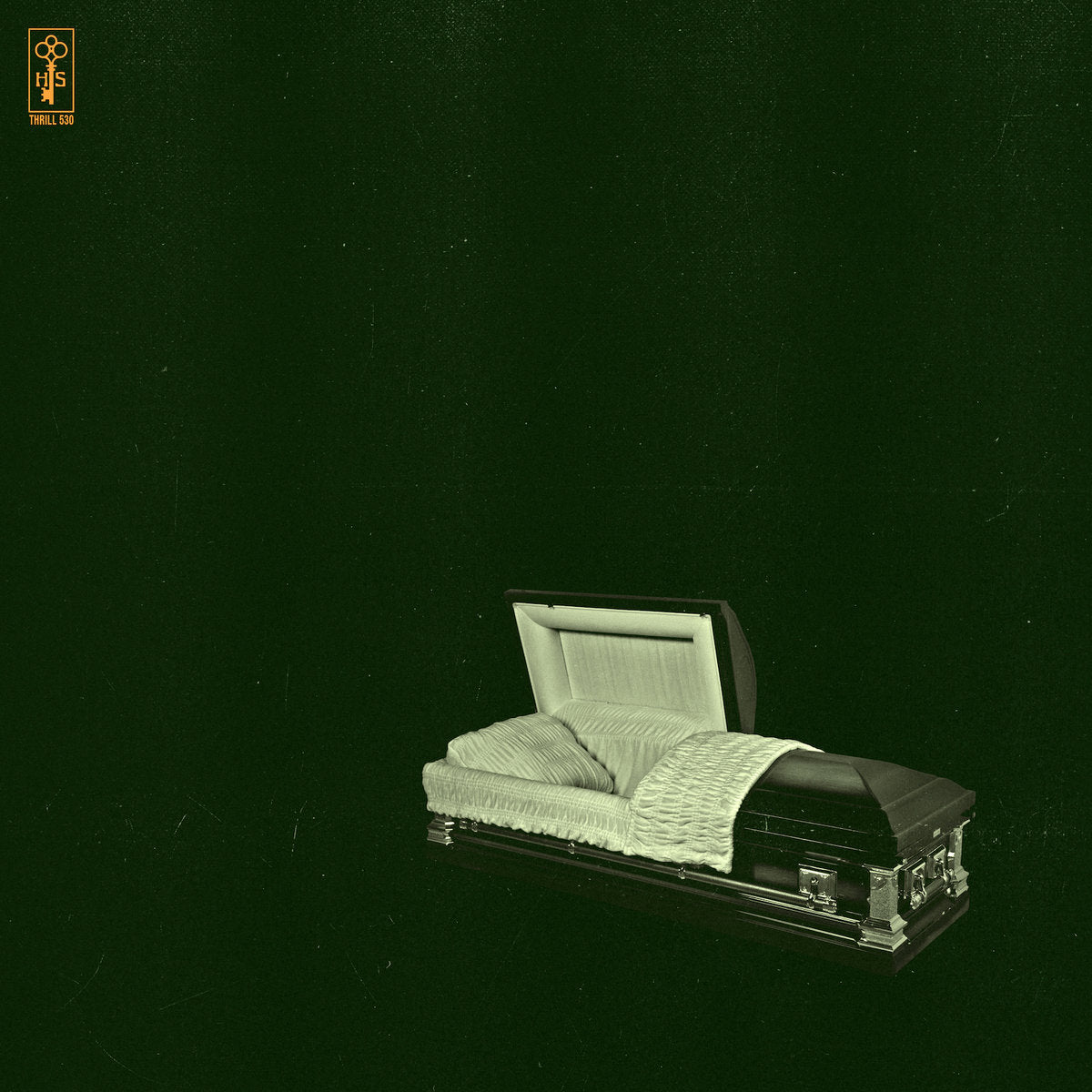 Holy Sons - Raw and Disfigured (Vinyl LP)