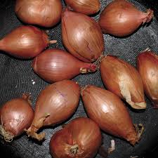 Segall, Ty - Fried Shallots (Vinyl LP)