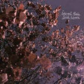 Eerie Wanda - Internal Radio (Lavender) (Vinyl LP)