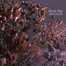 Eerie Wanda - Internal Radio (Lavender) (Vinyl LP)