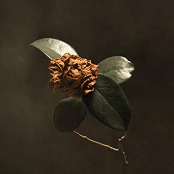 St. Paul and the Broken Bones - Young Sick Camellia (Vinyl LP)