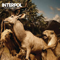 Interpol - Our Love to Admire (Vinyl LP)
