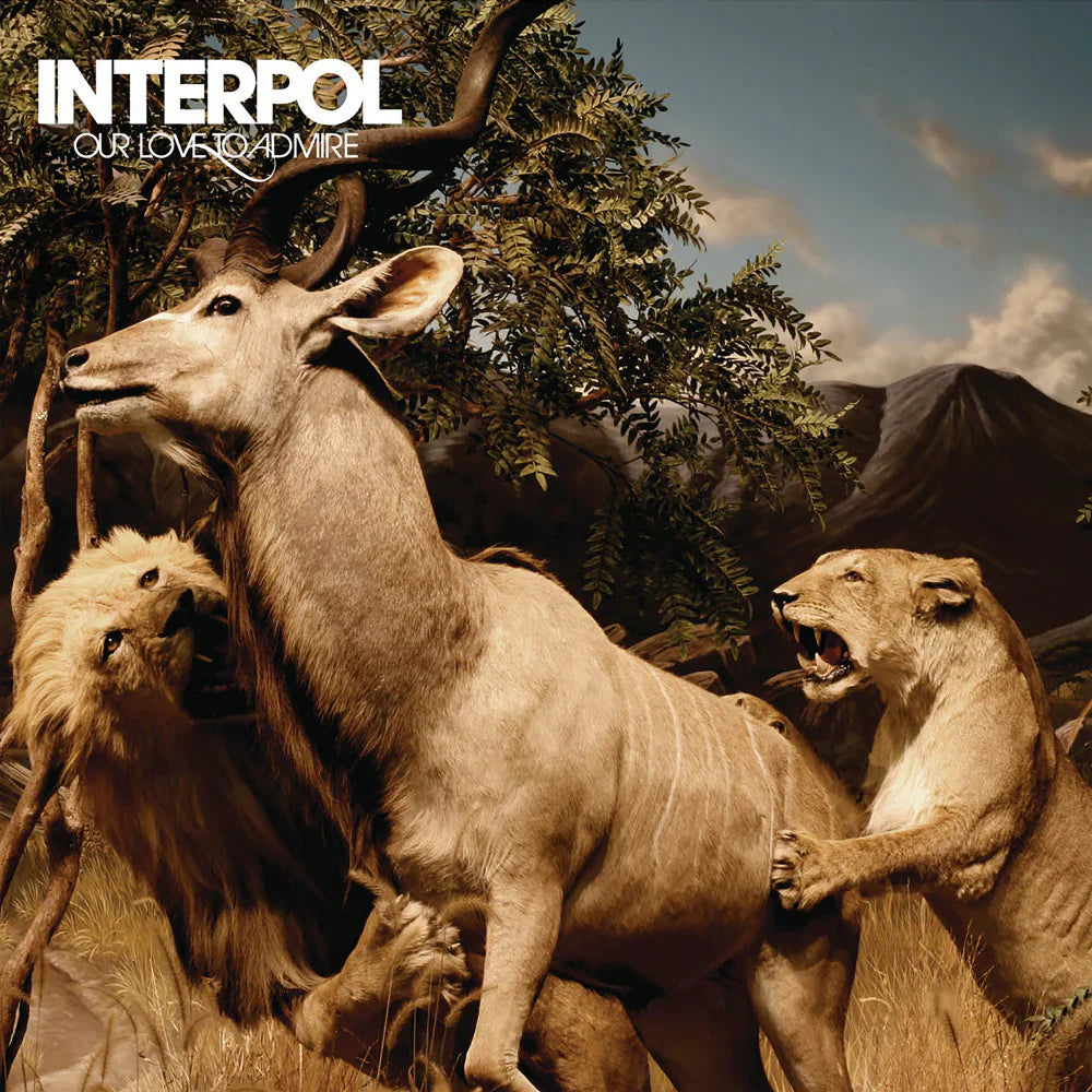 Interpol - Our Love to Admire (Vinyl LP)