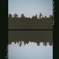 Rogers, Maggie - Now That The Light Is Fading EP (10" Vinyl) (Vinyl LP)