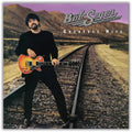 Seger, Bob & The Silver Bullet Band - Greatest Hits (Vinyl LP)