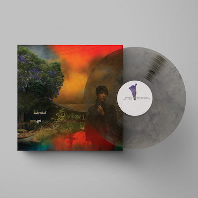 Van Etten, Sharon - We've Been Going About This All Wrong (Limited Edition Marble Smoke Vinyl) (Vinyl LP)
