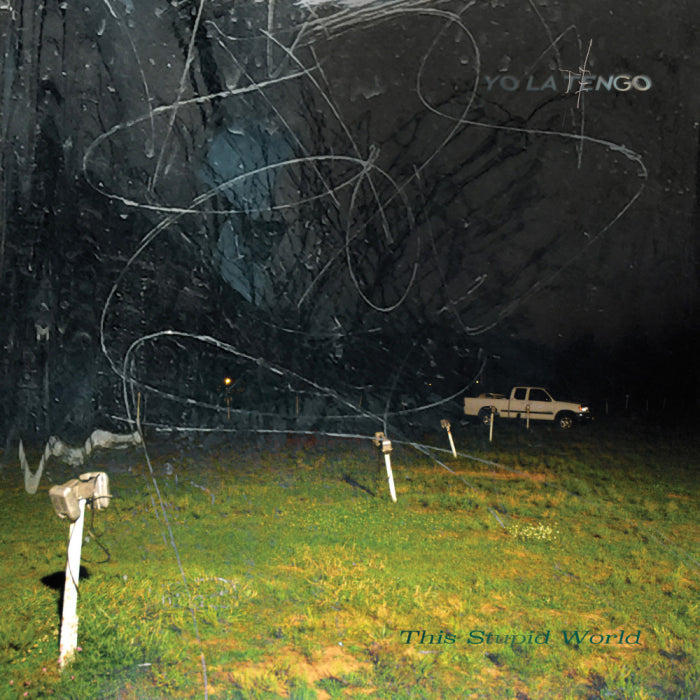 Yo La Tengo - This Stupid World (Vinyl LP)