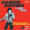 Brown, James - Tell Me What You're Gonna Do (Vinyl LP)