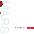 Thirty Seconds to Mars - A Beautiful Lie (Vinyl LP)