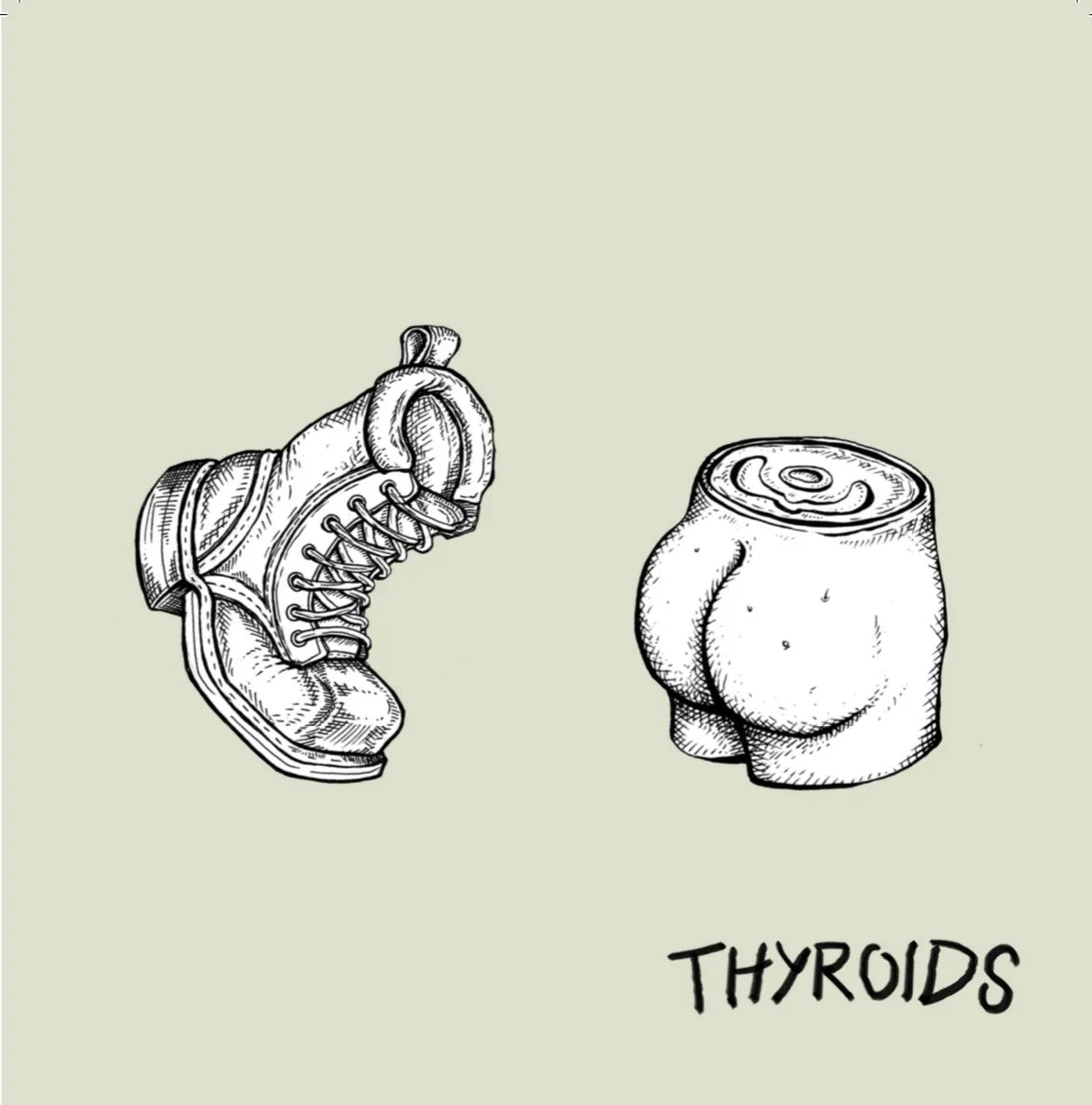 Thyroids - A Swift Kick In The Ass (45) (Vinyl LP)