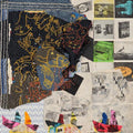 Animal Collective - Time Skiffs (Black 2LP Vinyl) (Vinyl LP)