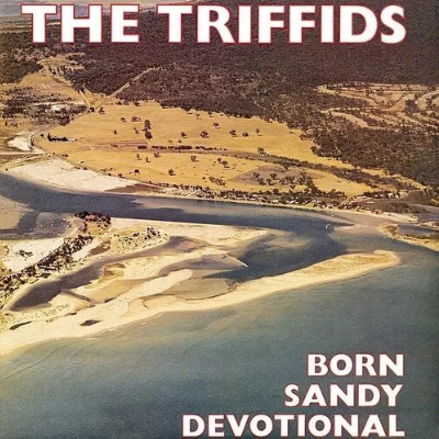 Triffids, The - Born Sandy Devotional (Yellow Coloured Vinyl) (Vinyl LP)