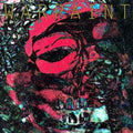 Warpaint - The Fool (Vinyl) (Vinyl LP)