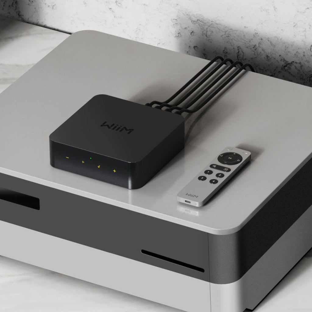WiiM Voice Remote 2
