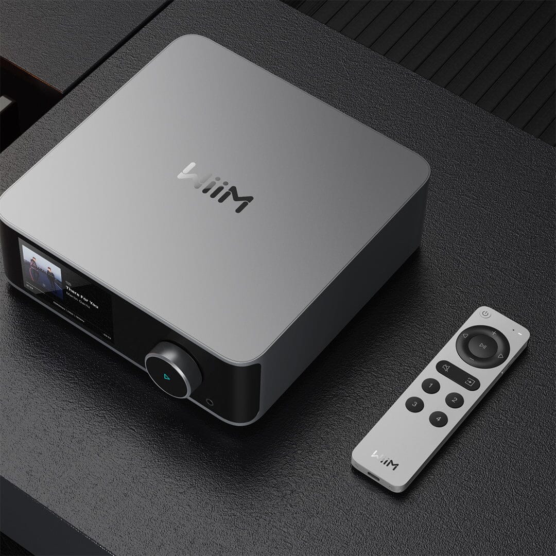 WiiM Voice Remote 2